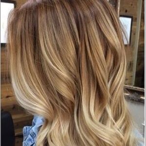 Meet your Posher, Lady